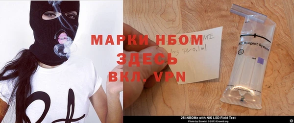 дмт Касимов