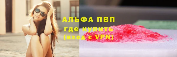 дмт Касимов