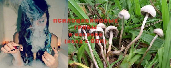 мескалин Карпинск