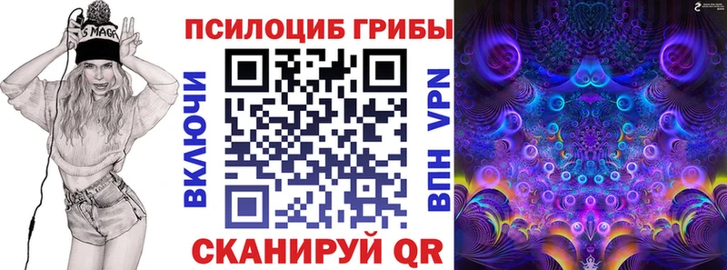 Псилоцибиновые грибы мицелий  Долгопрудный 